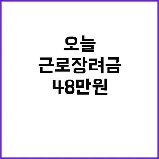 갑진백오적 역사의 …