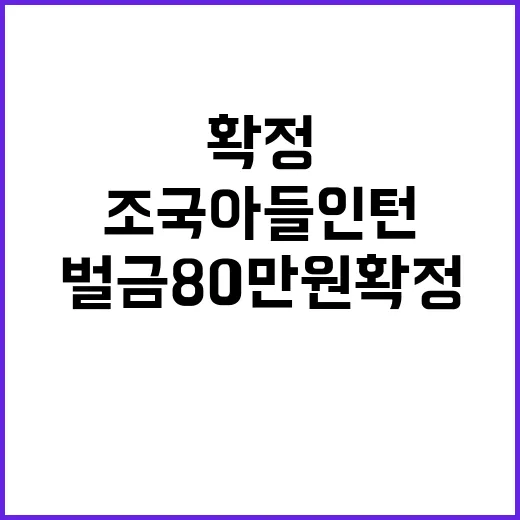 조국 아들 인턴 최…