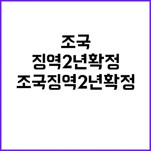 조국 징역 2년 확…