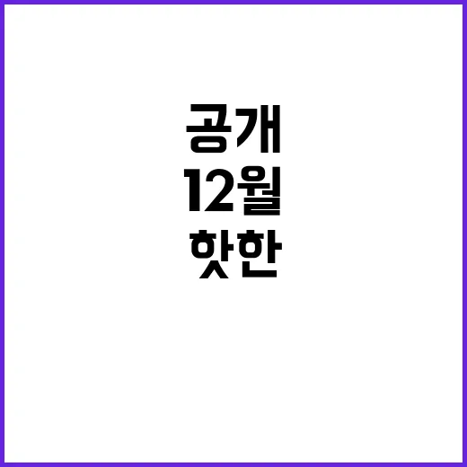 라이브투데이 12월…