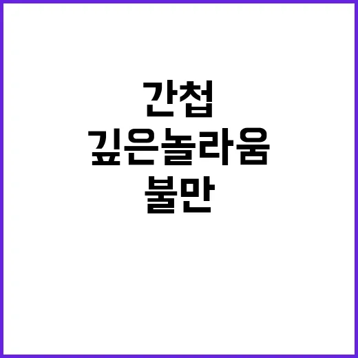 중국인 간첩 반응 …