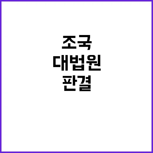 조국 대법원 판결 …