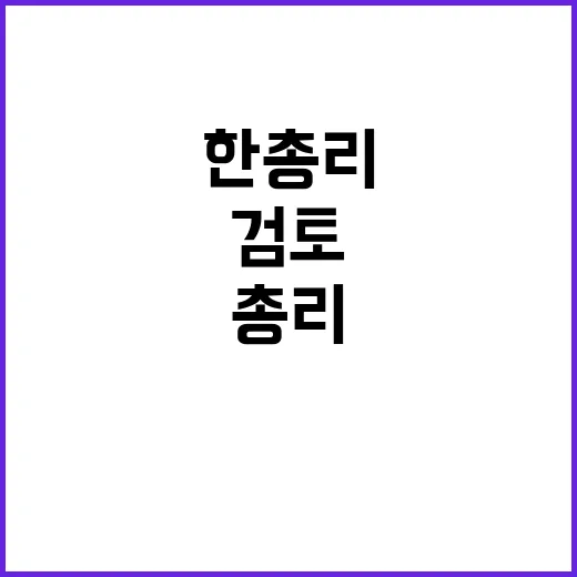 권한대행 거부권 가…