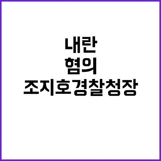 내란 가담 혐의 조…