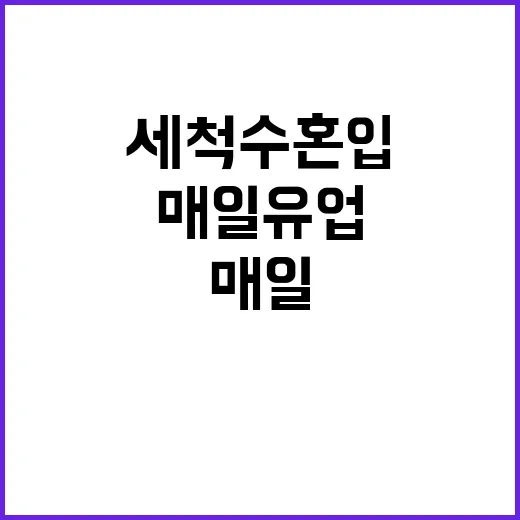 매일유업 회수 안전…