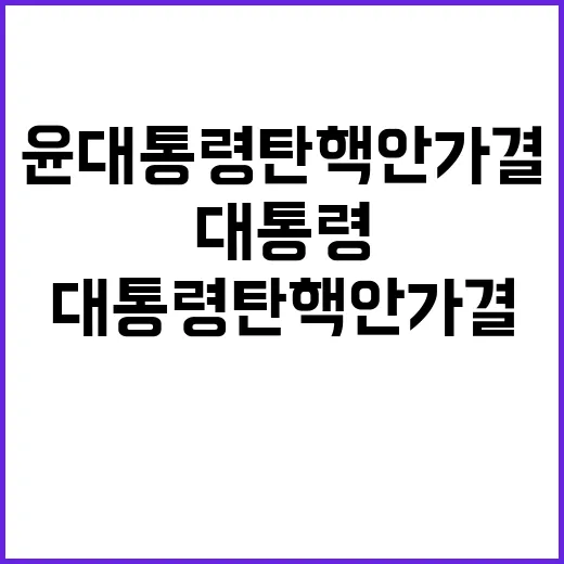 윤 대통령 탄핵안 …