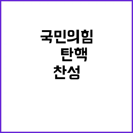 尹 탄핵 국민의힘 …