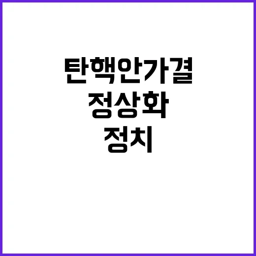 탄핵안 가결… 정치…