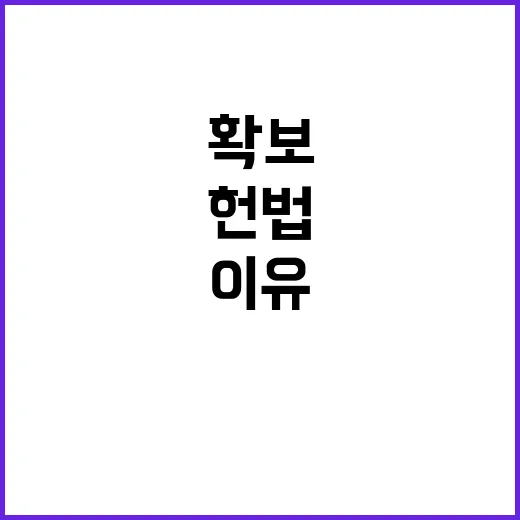 EU 헌법 적법성 …