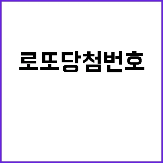 로또 당첨번호 8·…