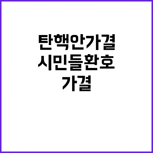 탄핵안 가결…시민들…