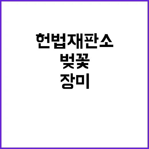 헌법재판소 4월 벚…