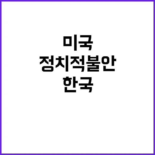 민주적 회복력 미국…