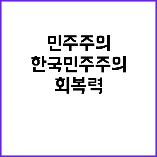 미 한국 민주주의 …