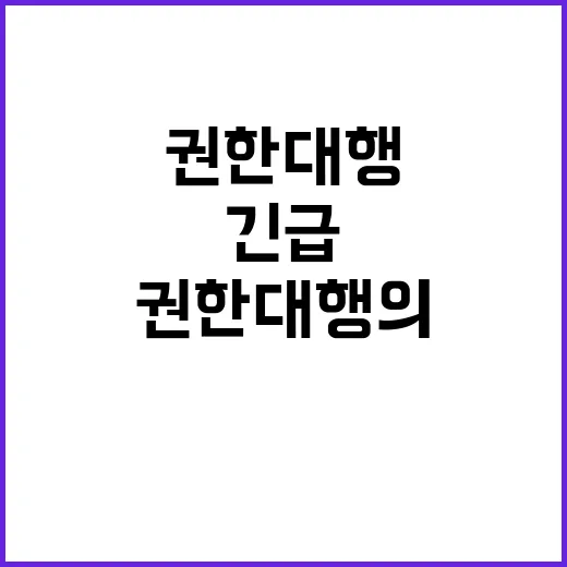 국정 혼란 권한대행…