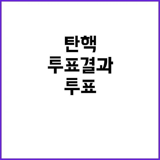 탄핵 무효표 8표 충격적인 투표 결과 공개!