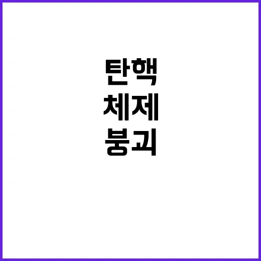 탄핵 책임론 한국 …