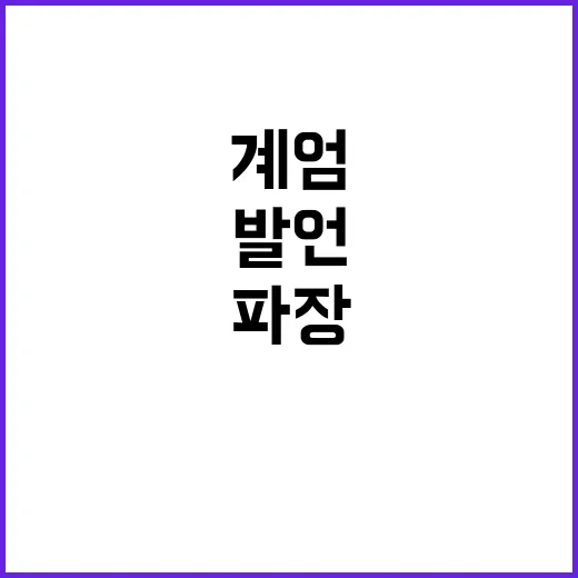 계엄 발언 정치적 …