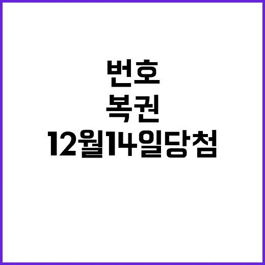 로또 복권 12월 …