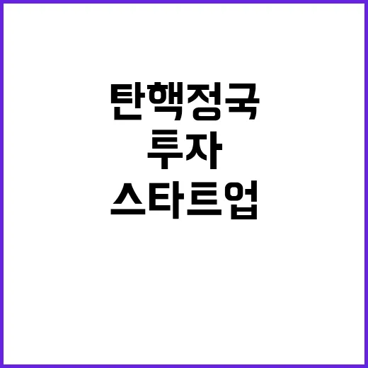 스타트업 탄핵정국 …