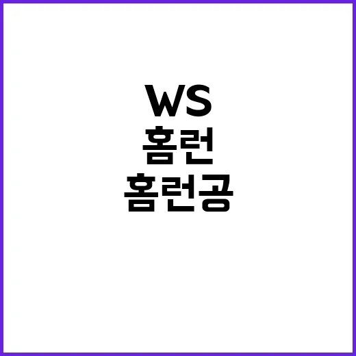 WS 만루홈런 공 역사적 가격으로 낙찰!