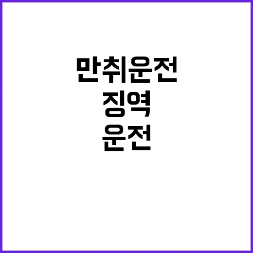 징역 8년 만취 운…