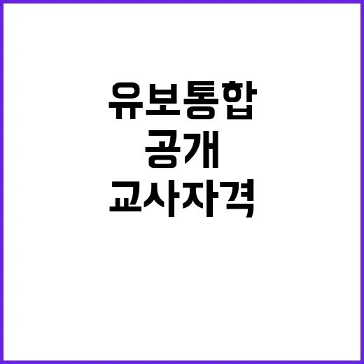 유보통합 교사 자격체계의 혼란스러운 현실 공개!