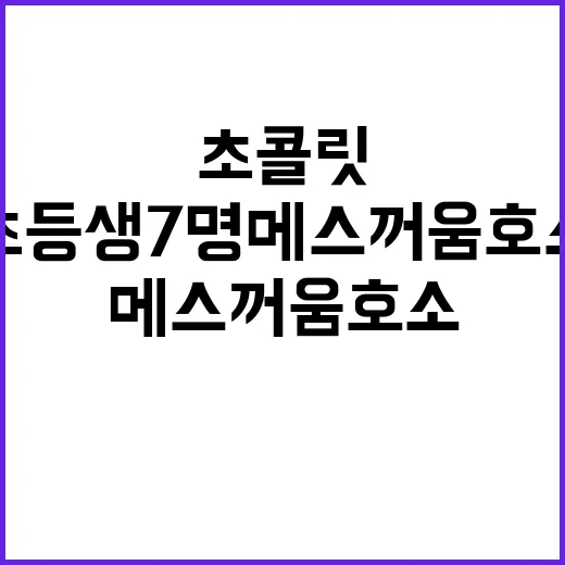 초콜릿 중毒? 초등생 7명 메스꺼움 호소!