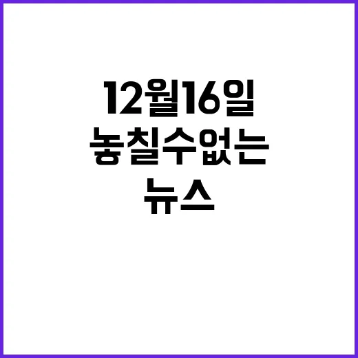 뉴스투나잇 12월 …