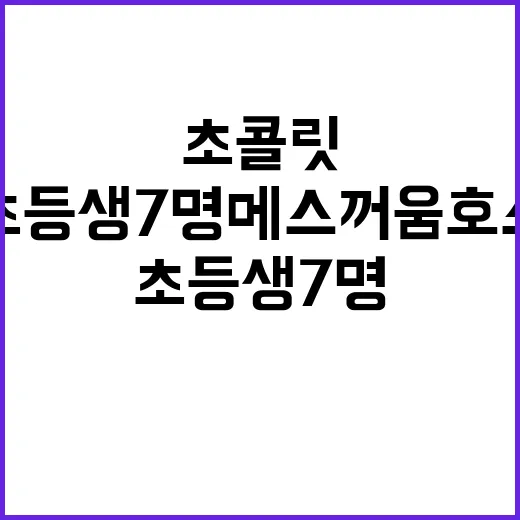 초콜릿 사건 초등생…