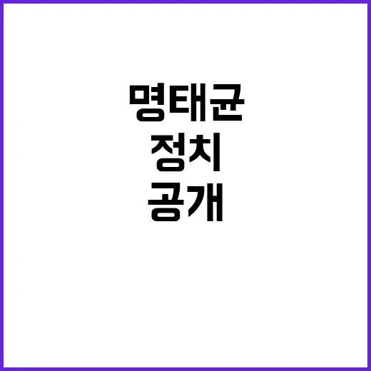 명태균 정치 일정의…