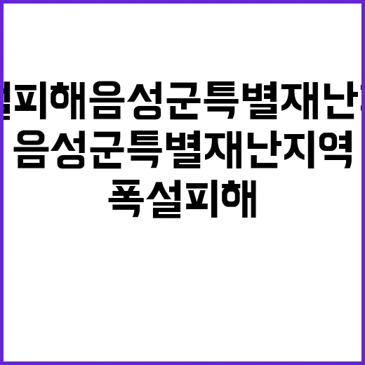 폭설 피해 음성군 …