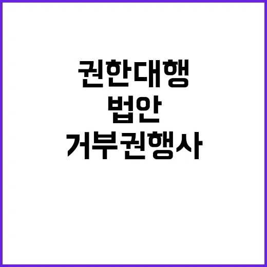 권한대행 법안 거부…