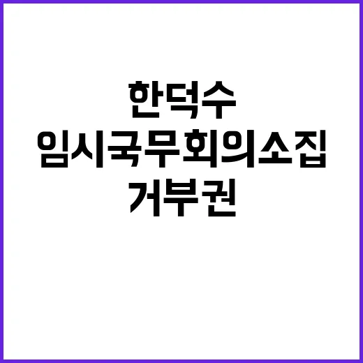 거부권 한덕수 임시…