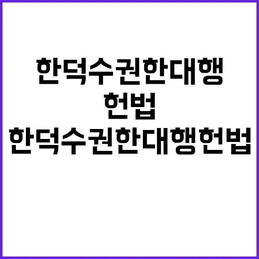 한덕수 권한대행 헌…