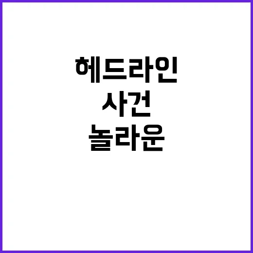 헤드라인 오늘의 놀…