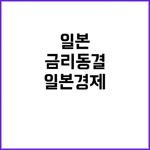 기준금리 동결 일본 경제의 불확실성 심화!