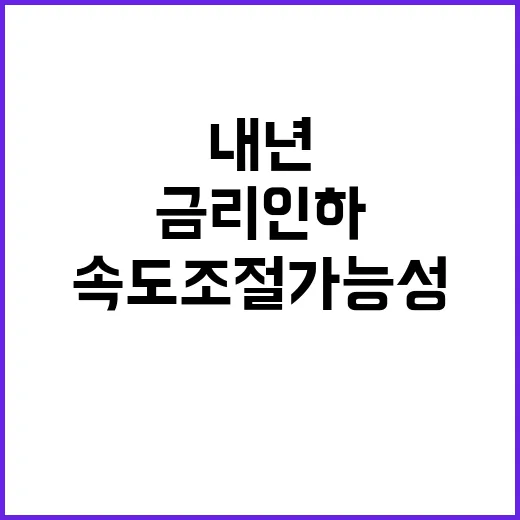 금리 인하 내년 속…