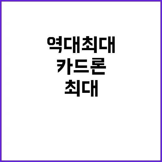 역대 최대 카드론 42조5453억원의 충격 이유!