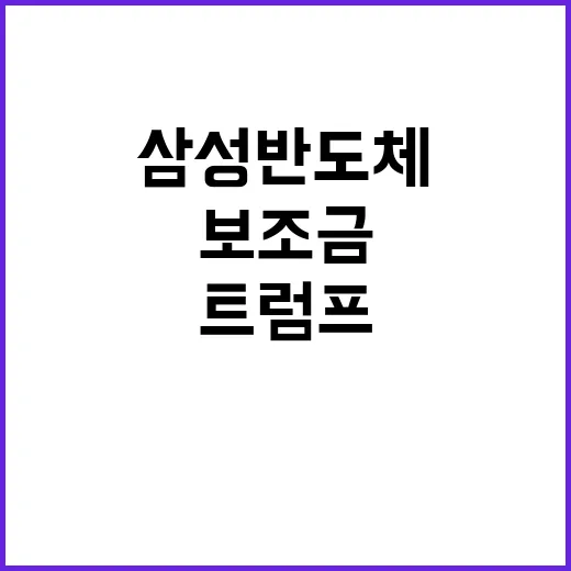 미 삼성 반도체 보…