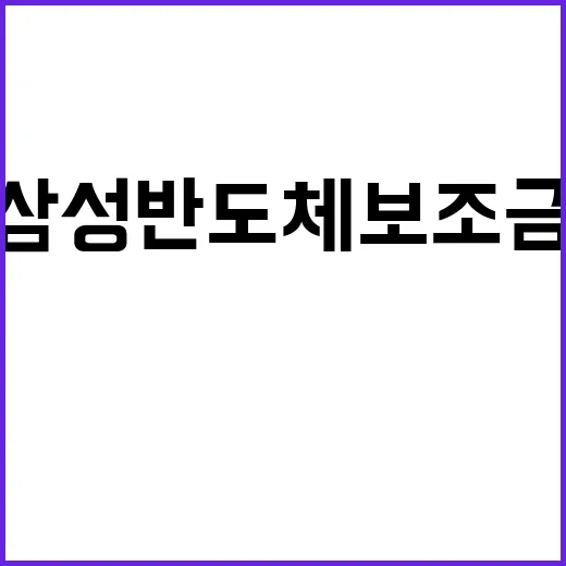 미 삼성 반도체 보…