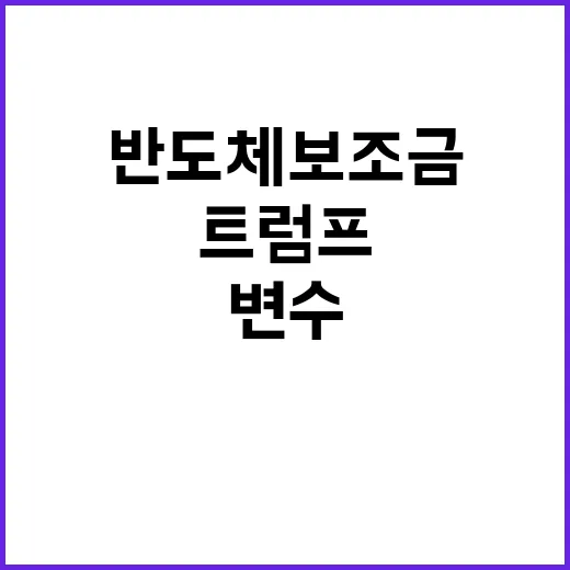 반도체 보조금 감액…