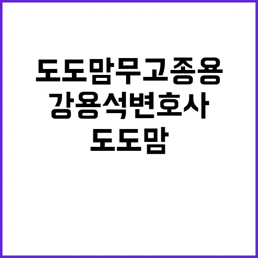 도도맘 무고 종용 …