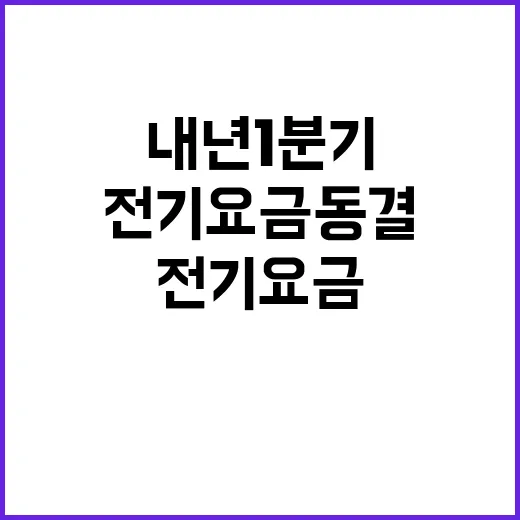 전기요금 동결 내년 1분기에도 변화 없다!