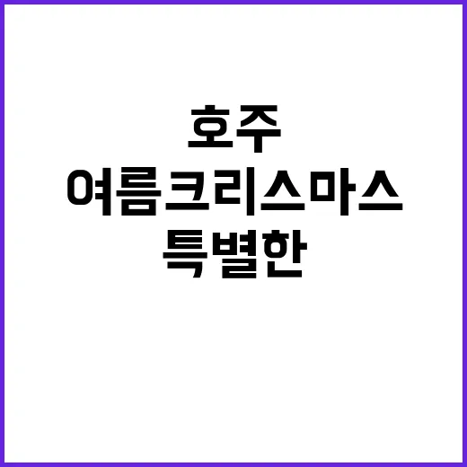 호주 여름 크리스마스 반바지로 즐기는 특별한 순간!