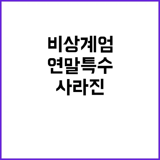 연말 특수…비상계엄으로 사라진 크리스마스 효과!