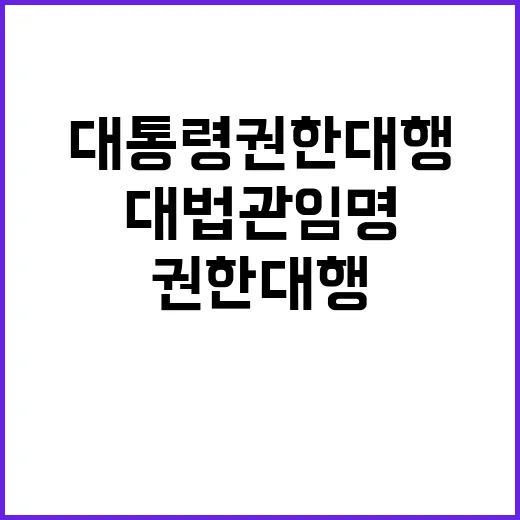 대법관 임명 대통령 권한대행의 권한 확인!