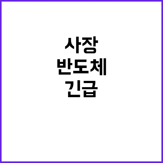 반도체 위상 김용관…