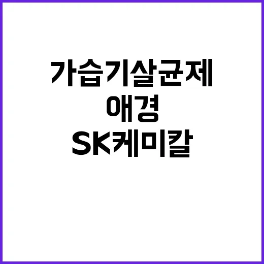 가습기살균제 재판 SK케미칼·애경 임직원들 다시 법정!