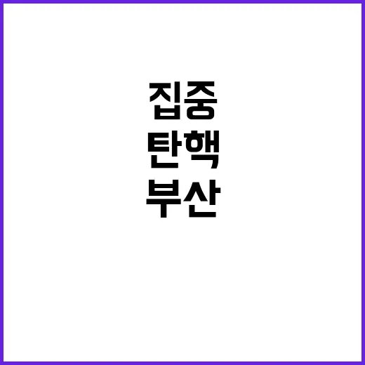 「탄핵 저지」 부산…